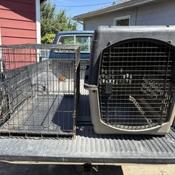 Large Dog Kennel/Crates. $50 Each Obo