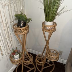 (2) Plant Holders