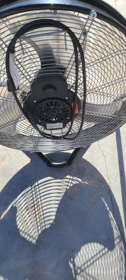 Fan