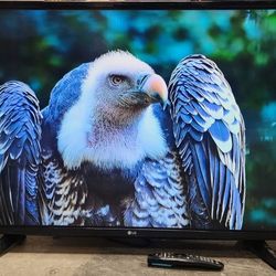 43" 1080p LED Smart Tv 2017