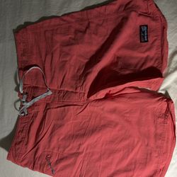 Patagonia Shorts Limited 