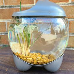 Small Fish Bowl With Light