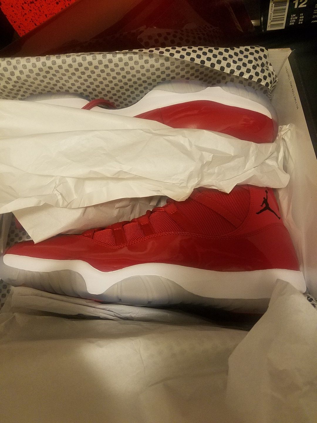 Brand new size13. Gym red jordan 11s