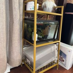 Small Gold Bookshelf