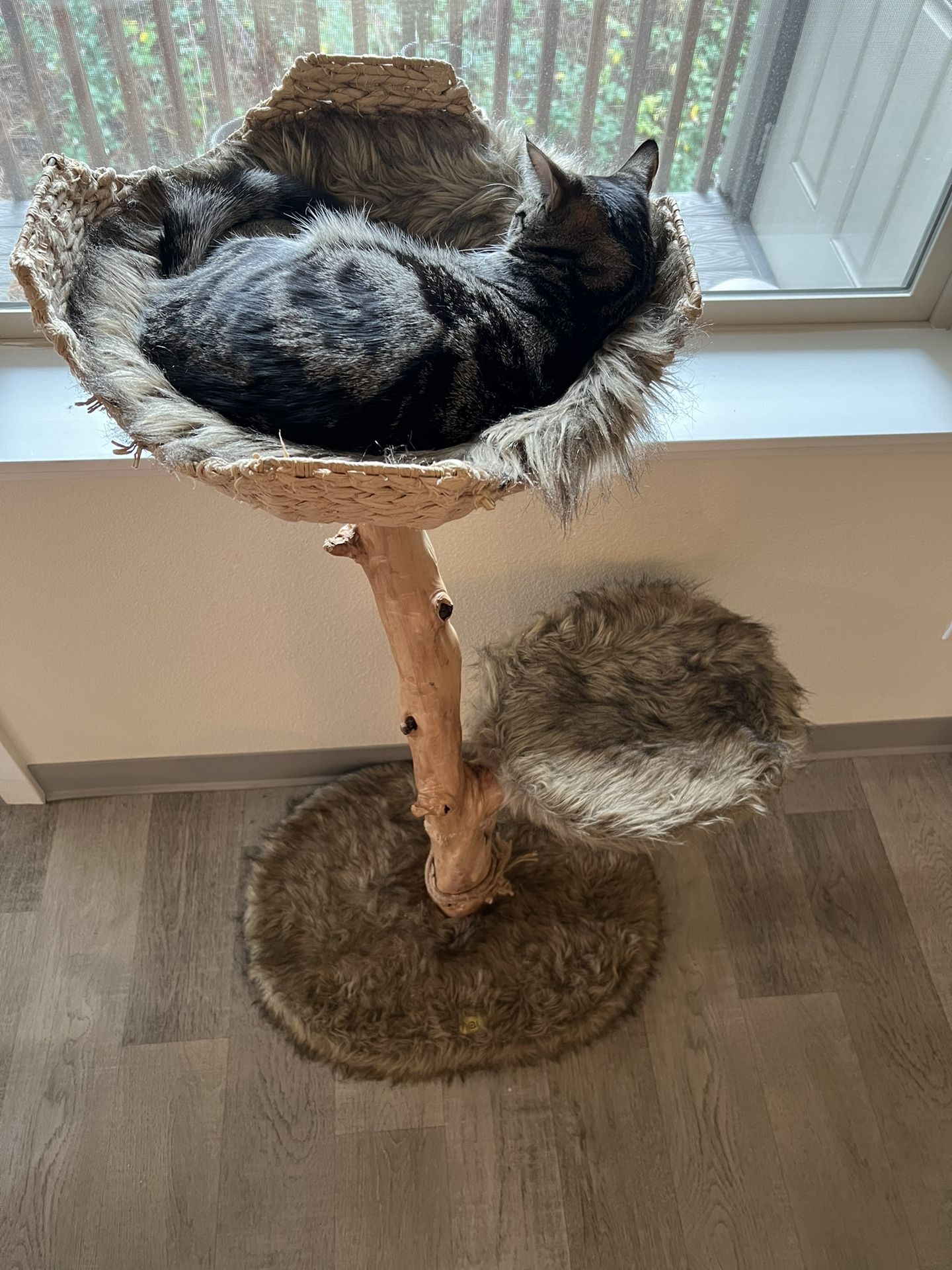 MAU UNI CAT TREE
