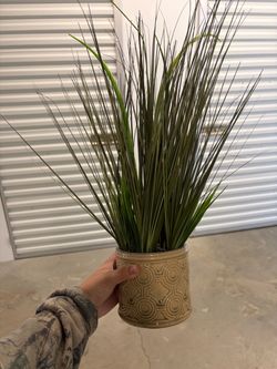 Faux Plant