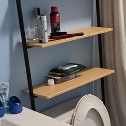 Bathroom Shelves