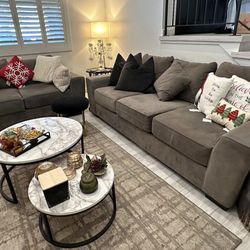 Sofa and Love Seat Couches 