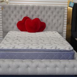 Modern Queen Bed 