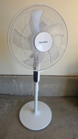 Fan