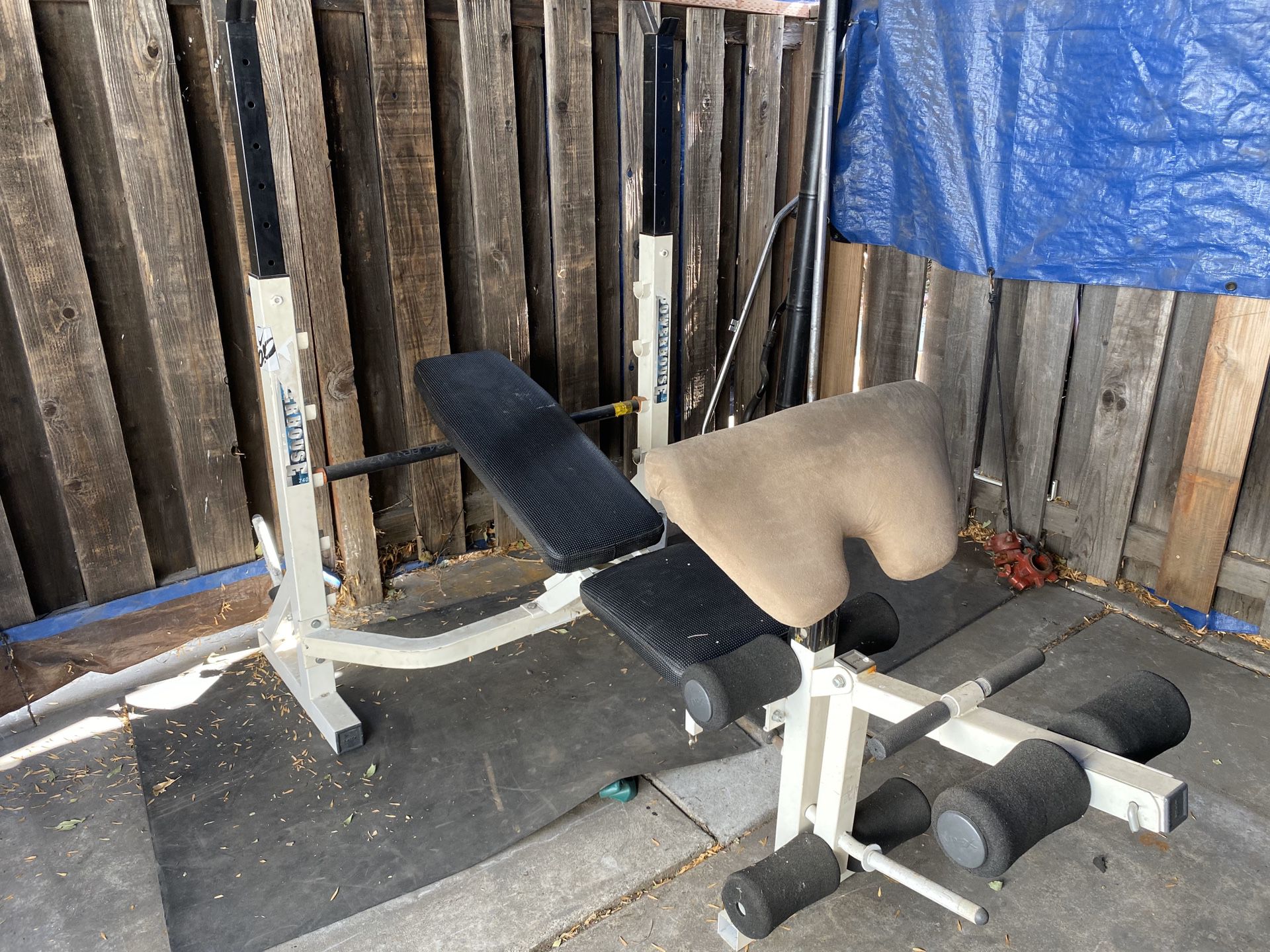 Olympic weight bench with squat rack powerhouse brand