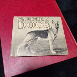 1935 The Book Of Dogs