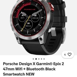 Garmin Porsche Epic 