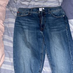 Hudson Jeans Size 28