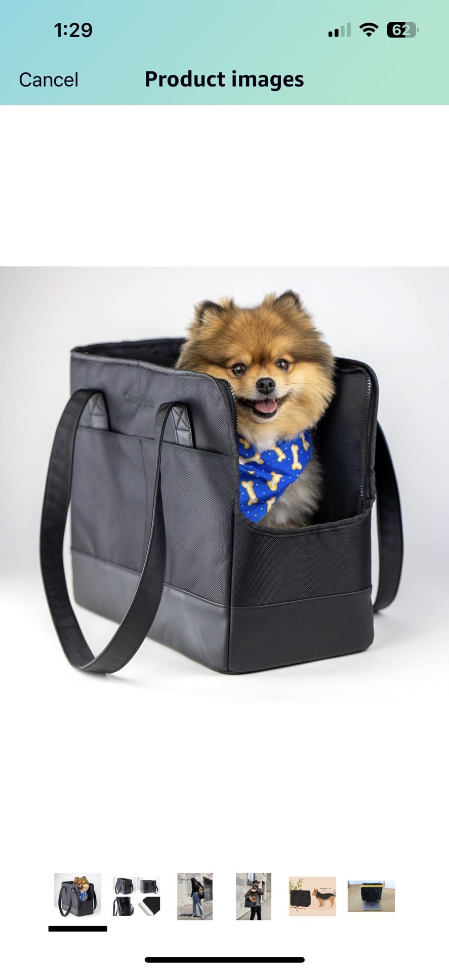 Sturdy Pet Carrier - Never Used 