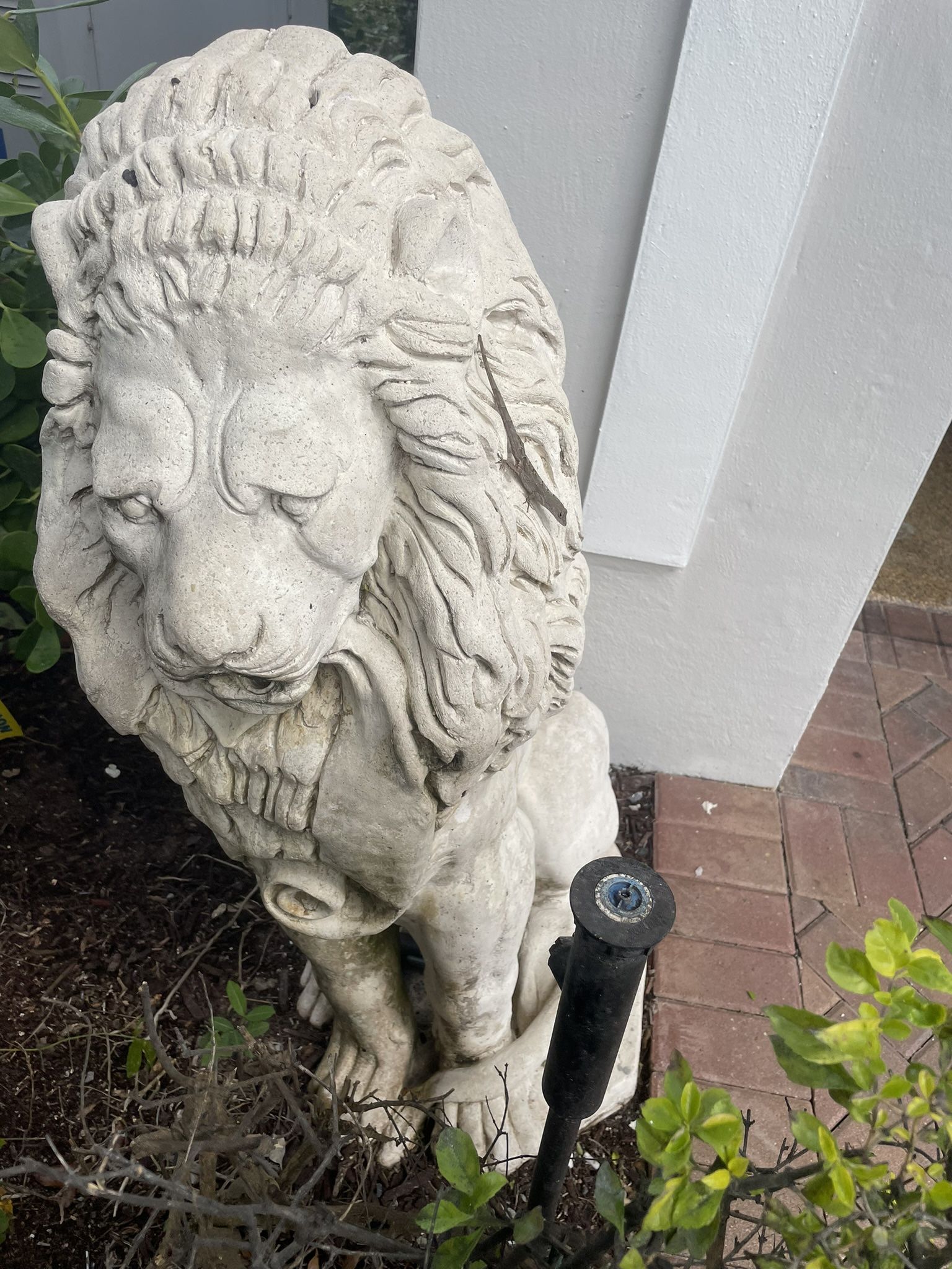 Lion Sitting.   Garden Statue , Cement Large  