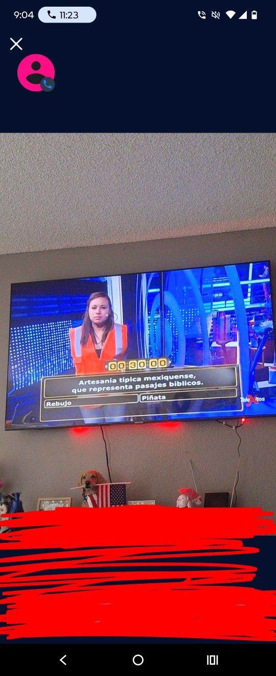 Samsung 65 Inch