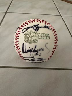 Houston Astros 2005 World Series Rawlings Baseball Team Autographed Bagwell Oswalt Berkman Burke Garner Ensberg Lane Everett Ausmus Taveras Cooper Lam