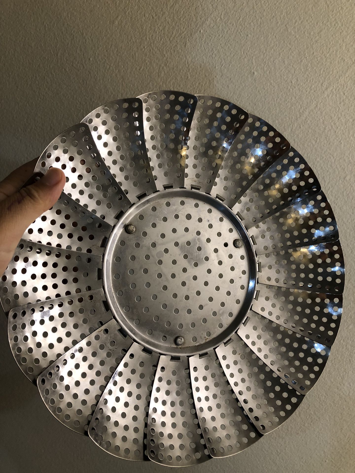 Vegetable Steamer