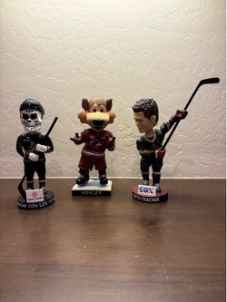 Arizona Coyotes Bobble Head Set