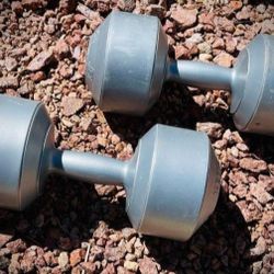 2 KETTLER WEIGHTS. 
EACH WEIGHT 13.2LBS.
