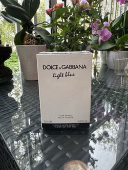 Dolce & Gabbana Light Blue