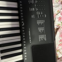 Yamaha300 PSR
