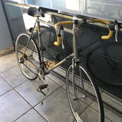 18 Speed Panasonic Bike