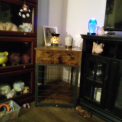 Two Dog Kennel Side Table With A Drawer 