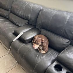 Leather Couch - Dark Grey In Good Condition 