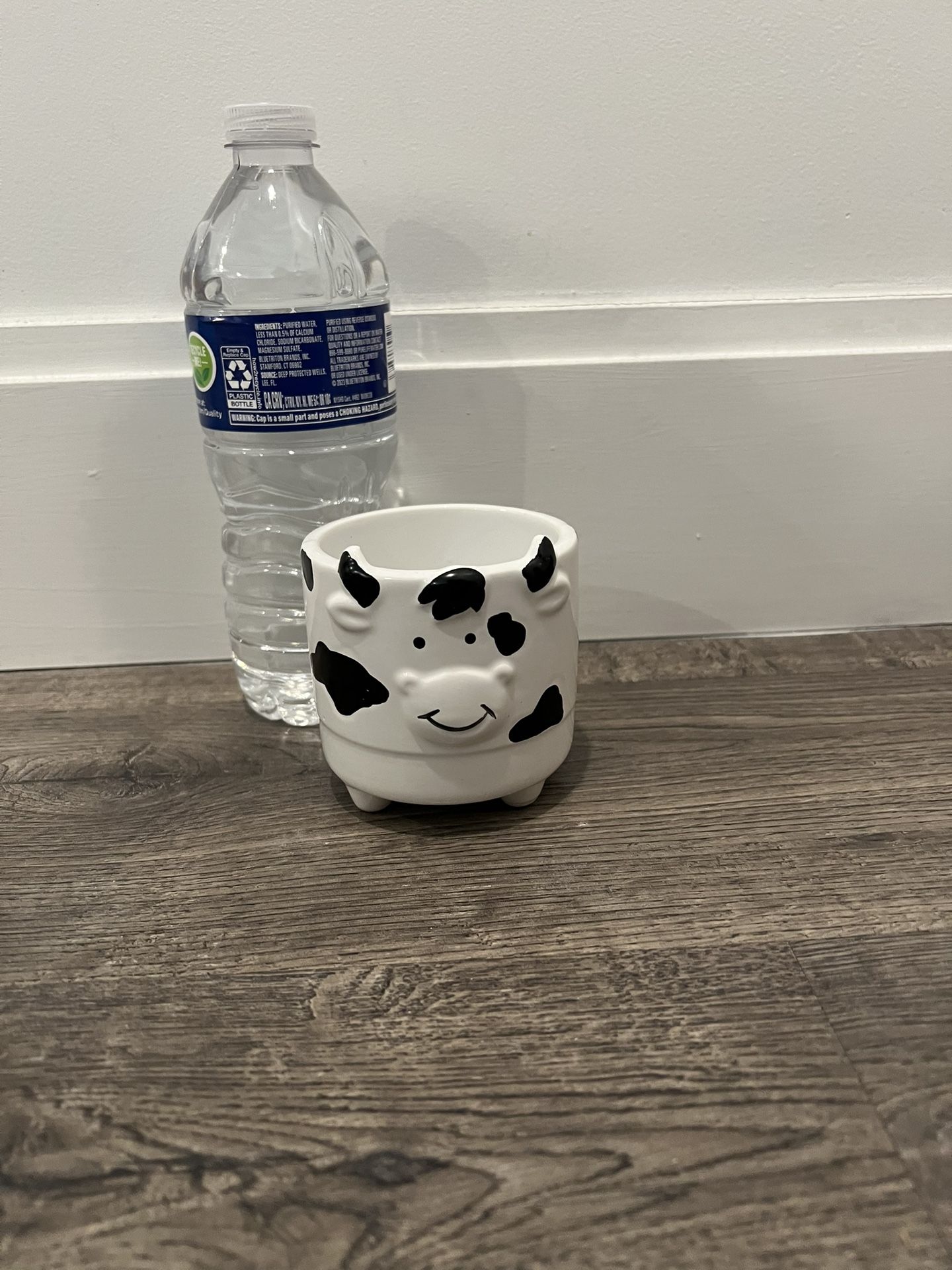 Mini Footed Cow Flower Pot🐮