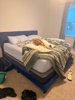 King bed frame and mattress