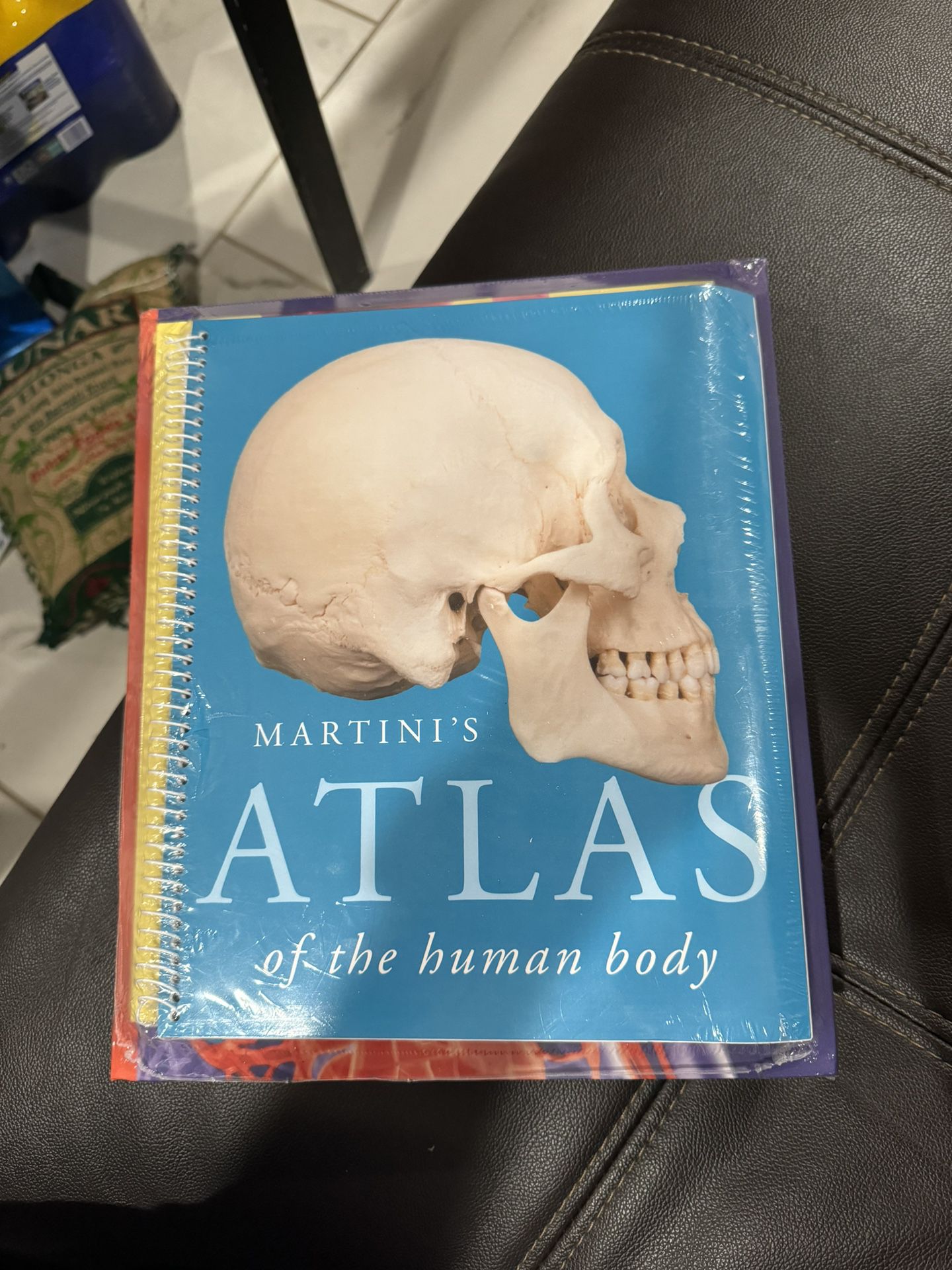 Human Anatomy College Text Books