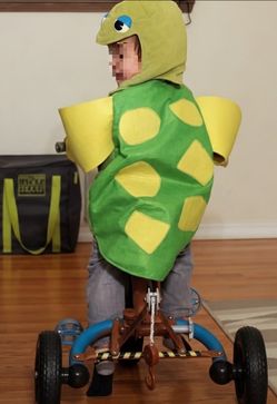 Pottery barn turtle costume