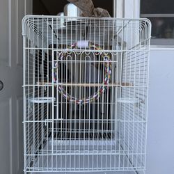 Parrot Cage
