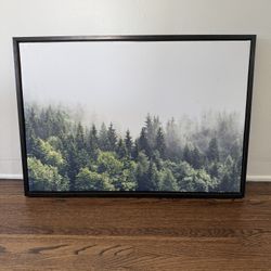 Framed Wall Art Photo