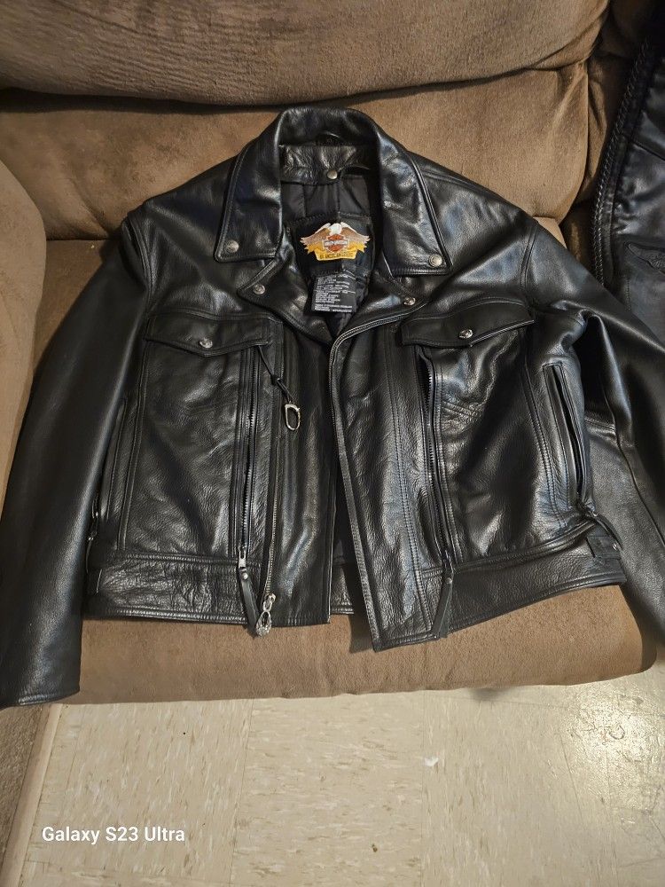 Extra large harley davidson jacket And Chaps