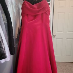 Homecoming/Prom Dress 