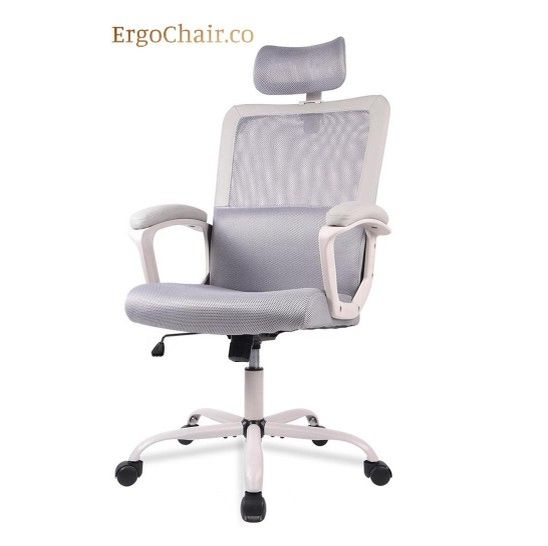 We Deliver! Ergonomic Mesh Office Chair with Neck Support