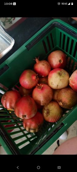 Pomegranates