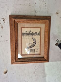 Framed Pelican Print Newport Beach CA