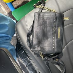 Steve Madden Bag