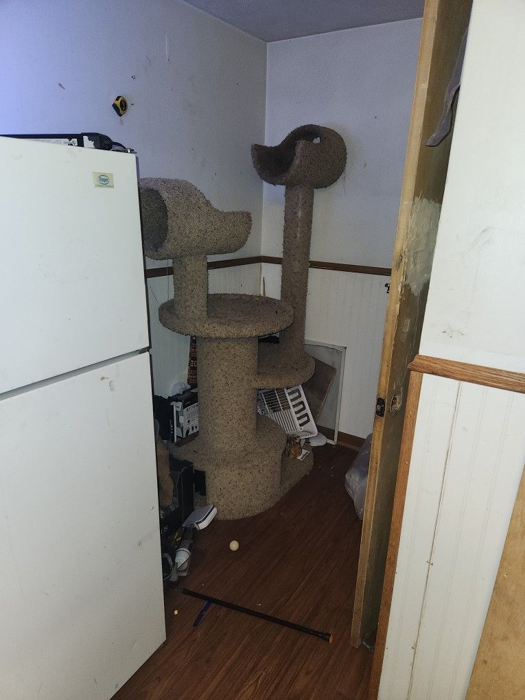 Cat Jungle Gym