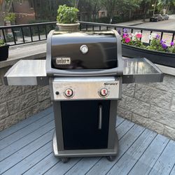 Weber 2 Burner Gas Grill