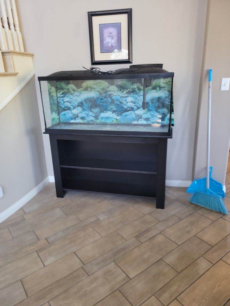 Aquarium/Reptile Tank (Has Leak)