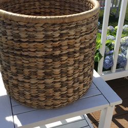 Palm Tree  Basket