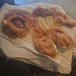Baby LION COSTUME ADORABLE 3 TO 6 MONTHS