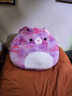 FREE Jumbo cat squishmallow