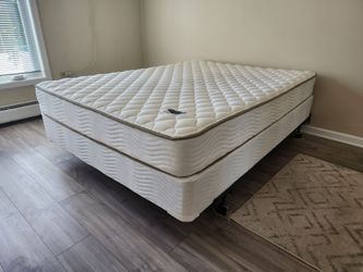Queen Firm Mattress & Box Bed Set