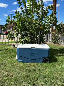 COLEMAN EXTREME ICE CHEST